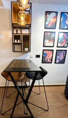 Luxury One Bedroom Furnished Apartment